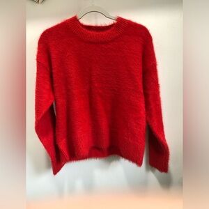 Sanctuary Red Sweater